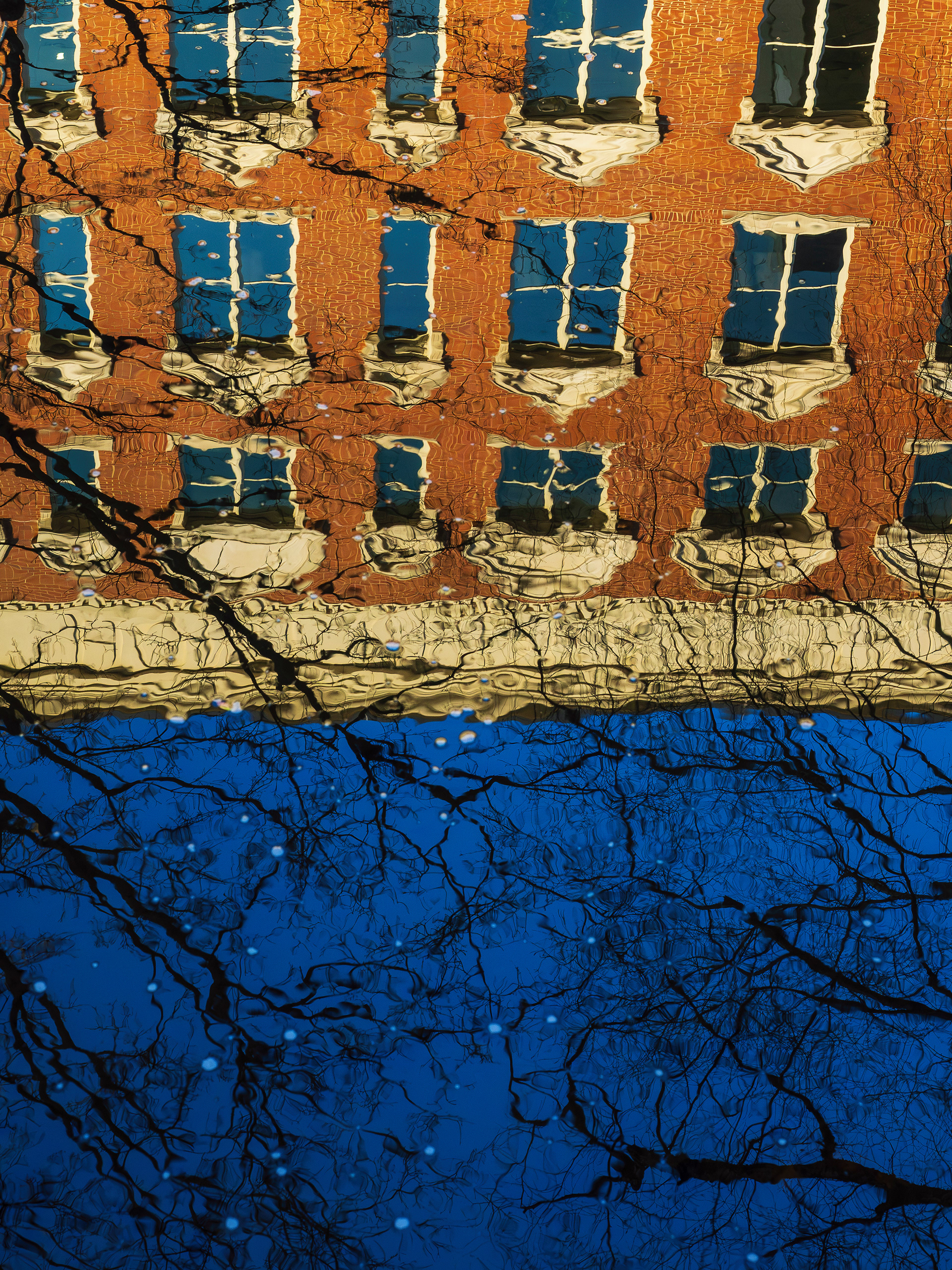 Knoxville, TN (USA).-102