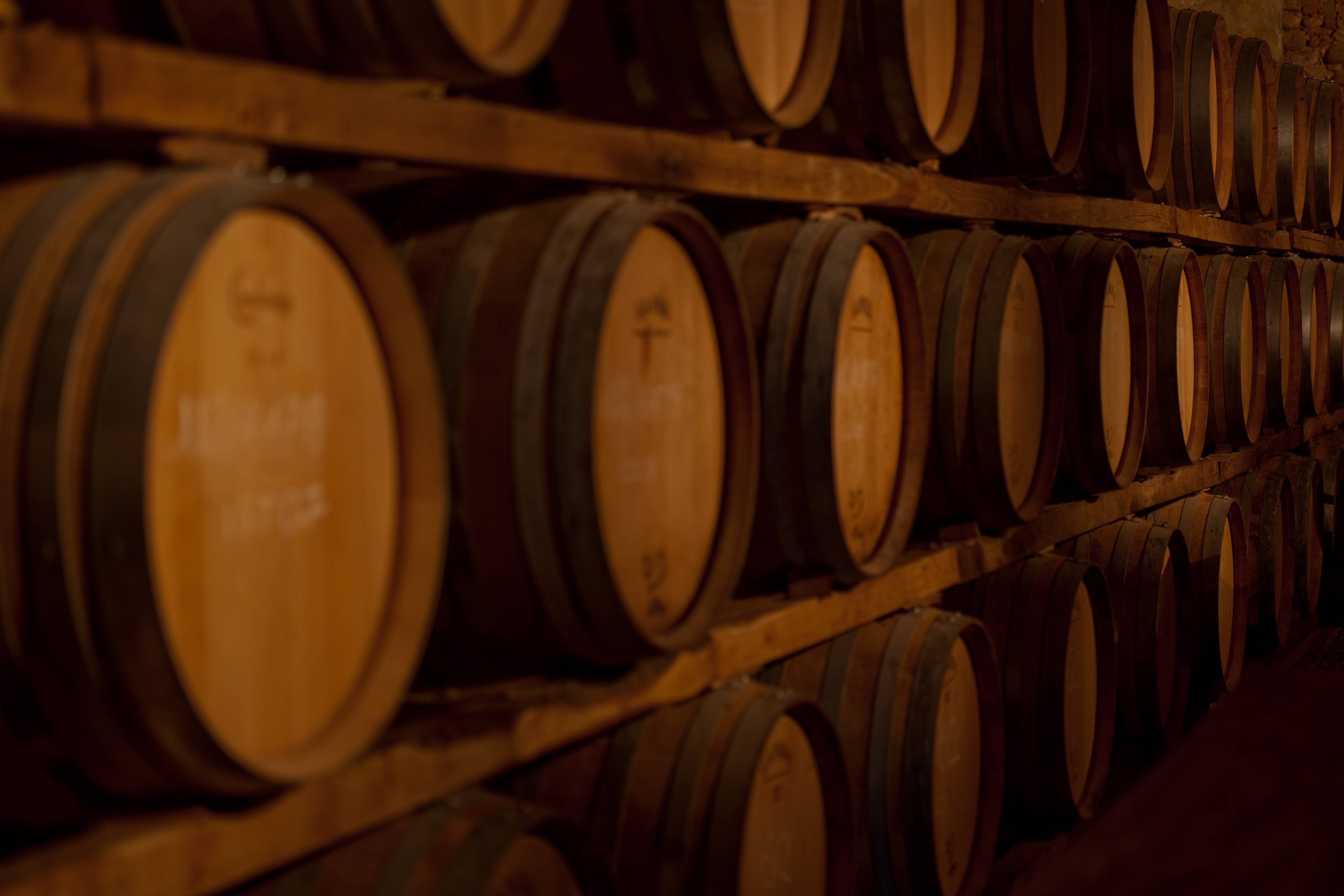 [别墅]意大利佛罗伦萨曼嘉卡纳渡假别墅Villa+Mangiacane-20