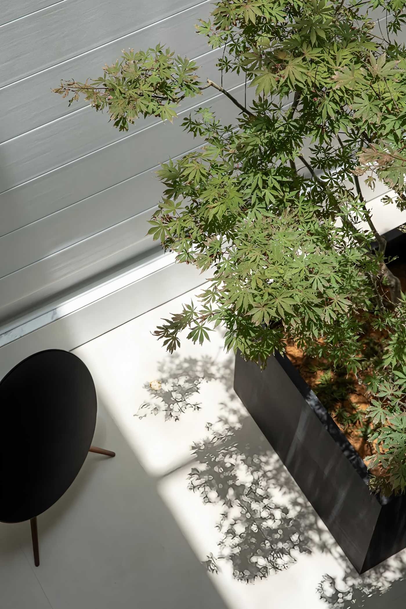 浙江台州500m²自然之息丨中国台州丨倾城国际设计-15