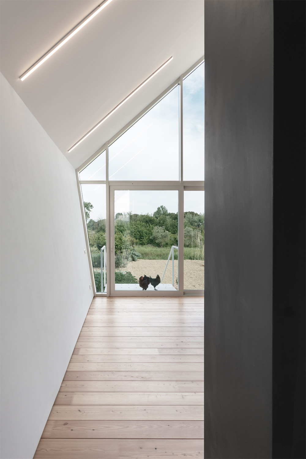 果园中的家园-42