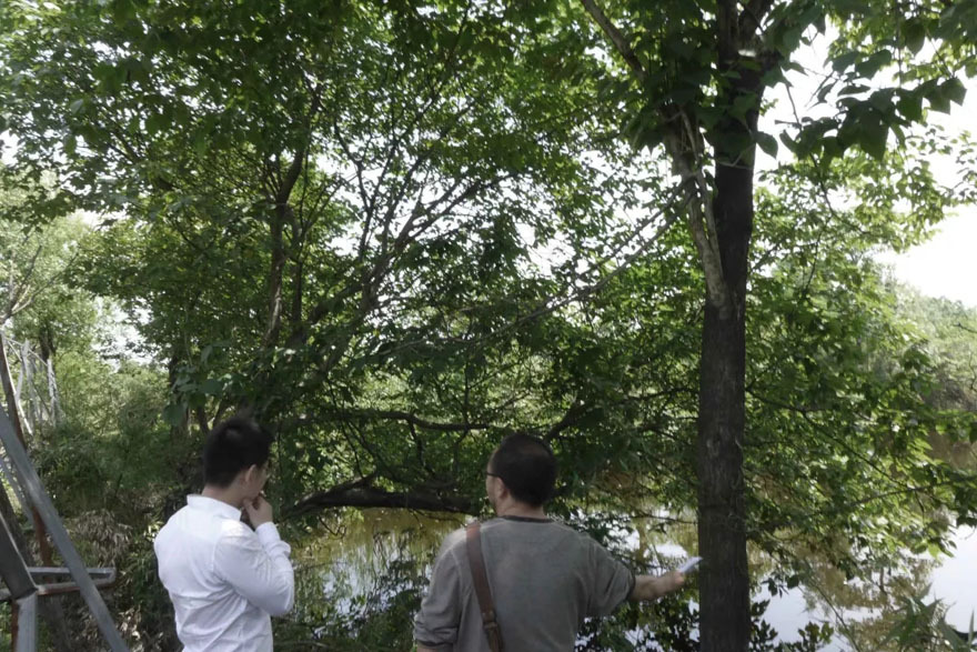 杭州木守西溪酒店-5