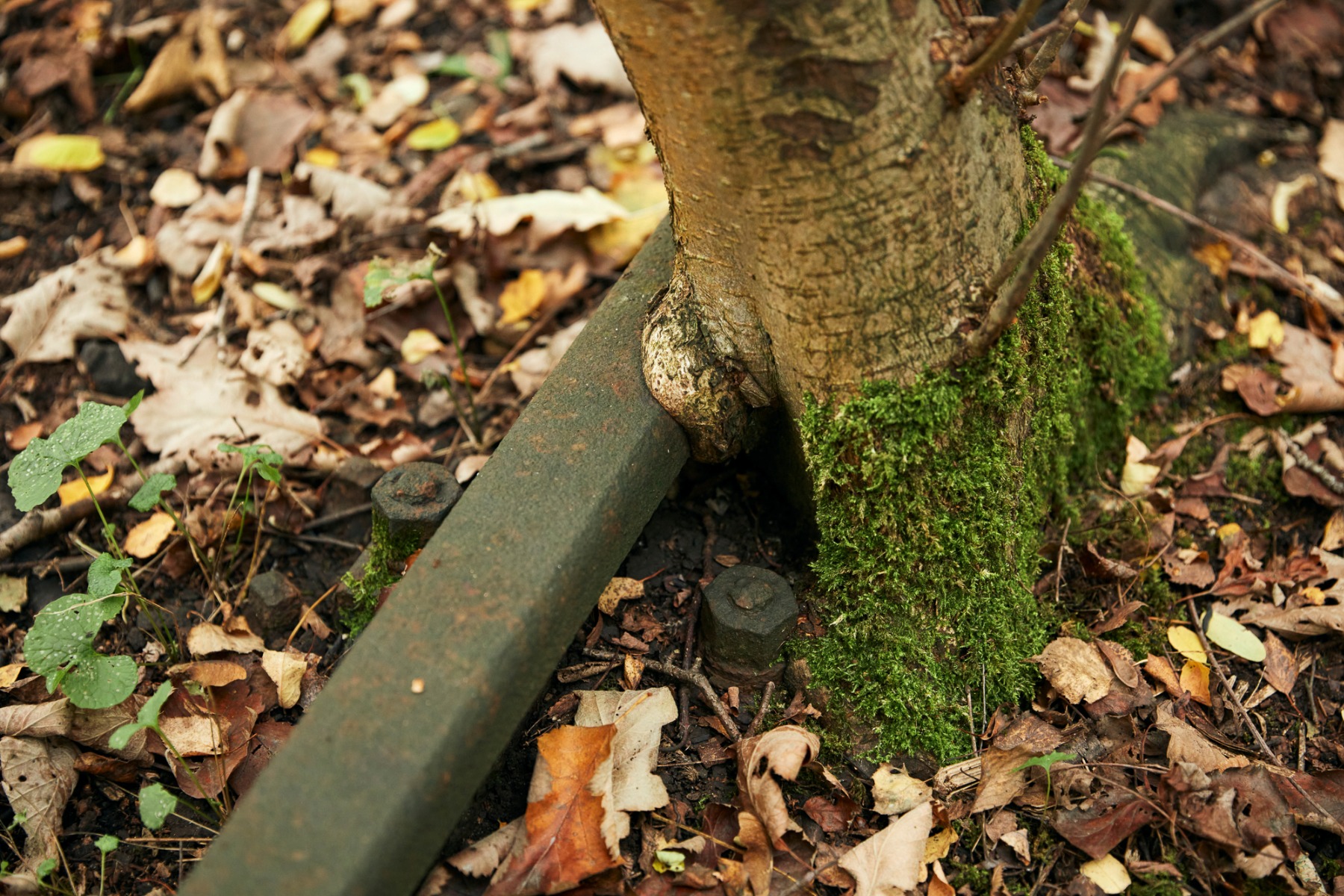柏林南场地自然公园丨德国柏林-17