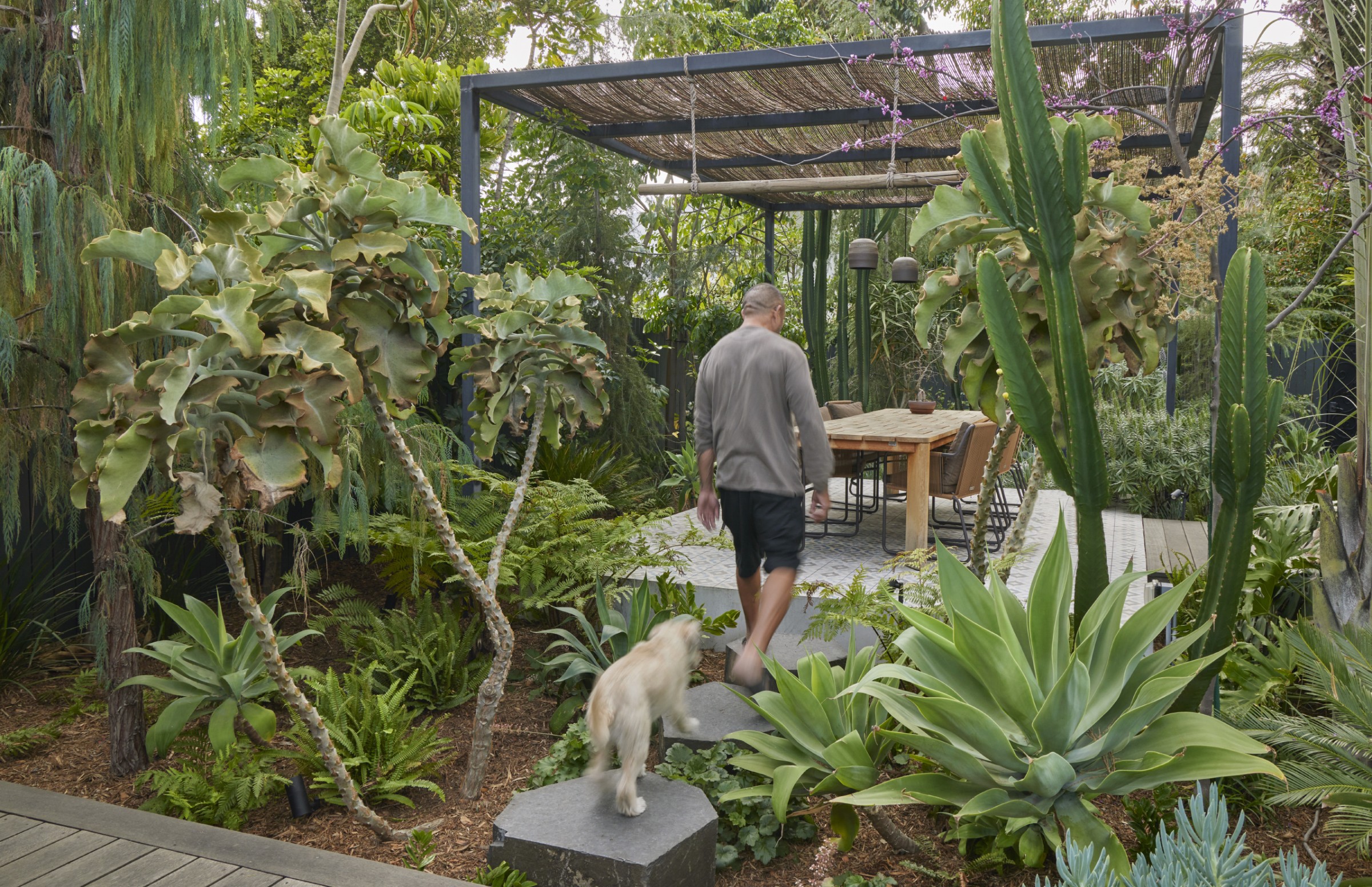 门前野趣丨TERREMOTO-109