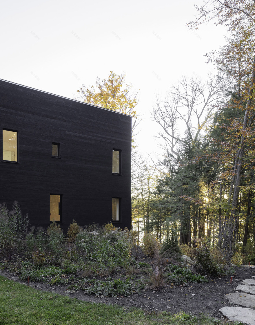 森林湖畔别墅丨美国丨Pachano & Vollert Architecture-8