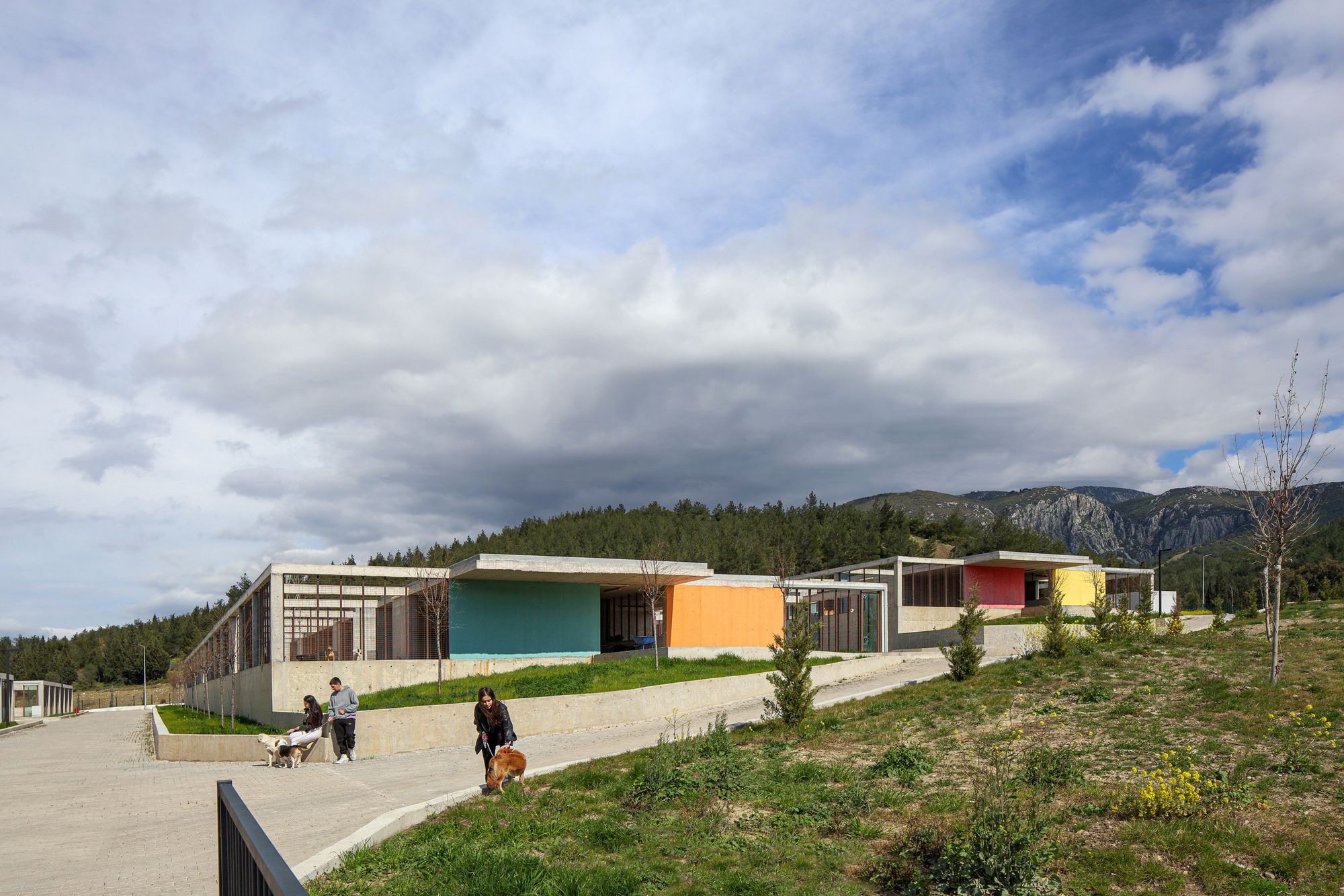 Pako Street Animal Social Life Campus  / Mert Uslu Architecture-37