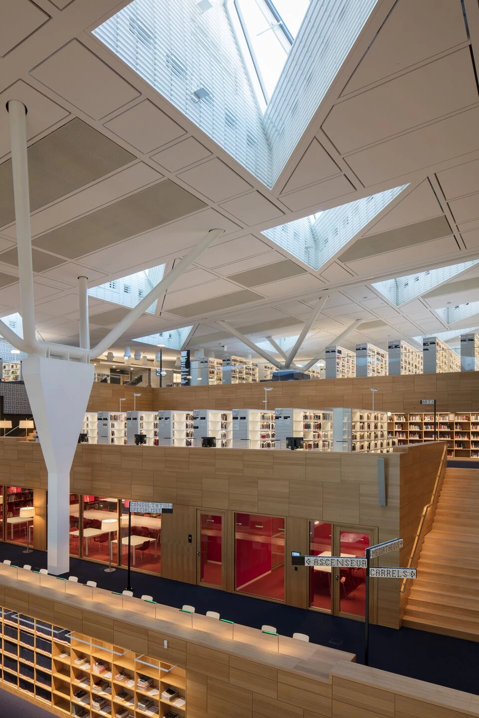 卢森堡国家图书馆丨Bolles + Wilson-30