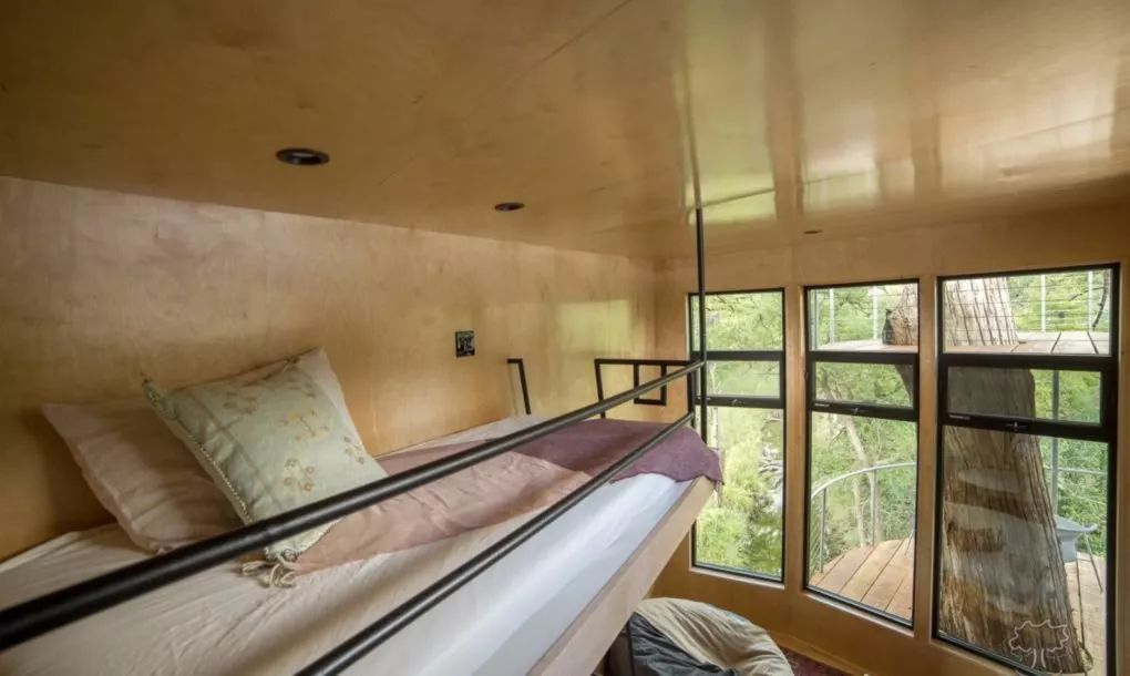 德克萨斯州横溪树屋 | 自然与艺术的完美融合-12