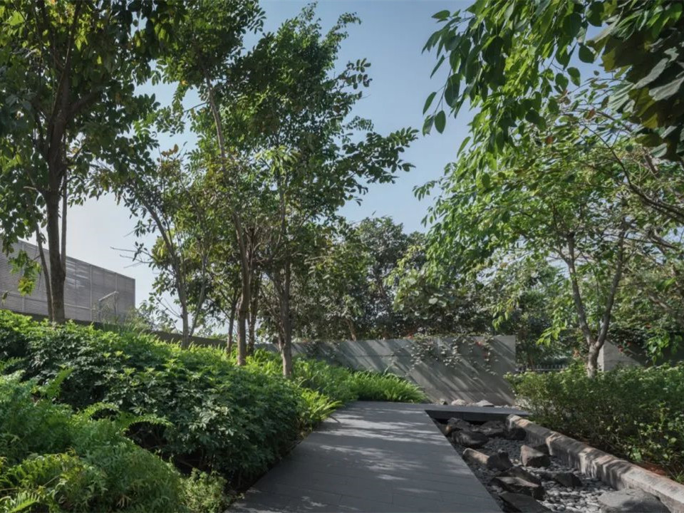 印度 Lupin Research 公园-2