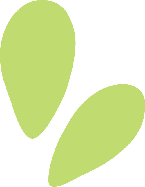 超大型机场周边住宅的“抗噪”idea|世界噪音日-17