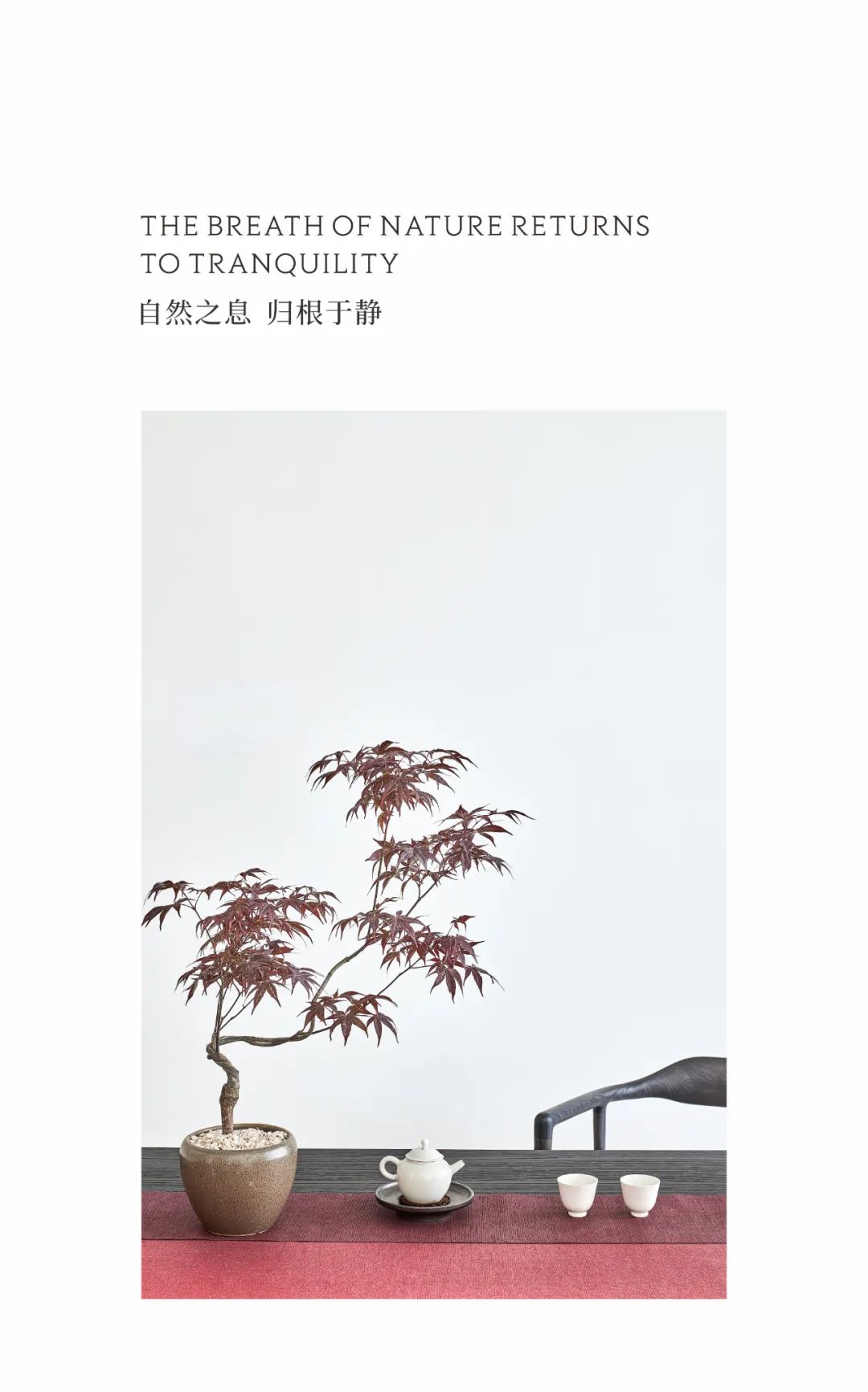 SLIPAI丨中国温州丨温州拾一设计-18