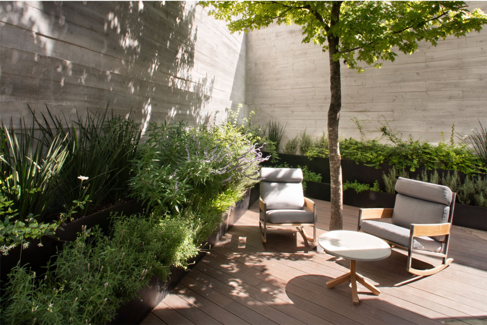 墨西哥 Pétrea 之家-26