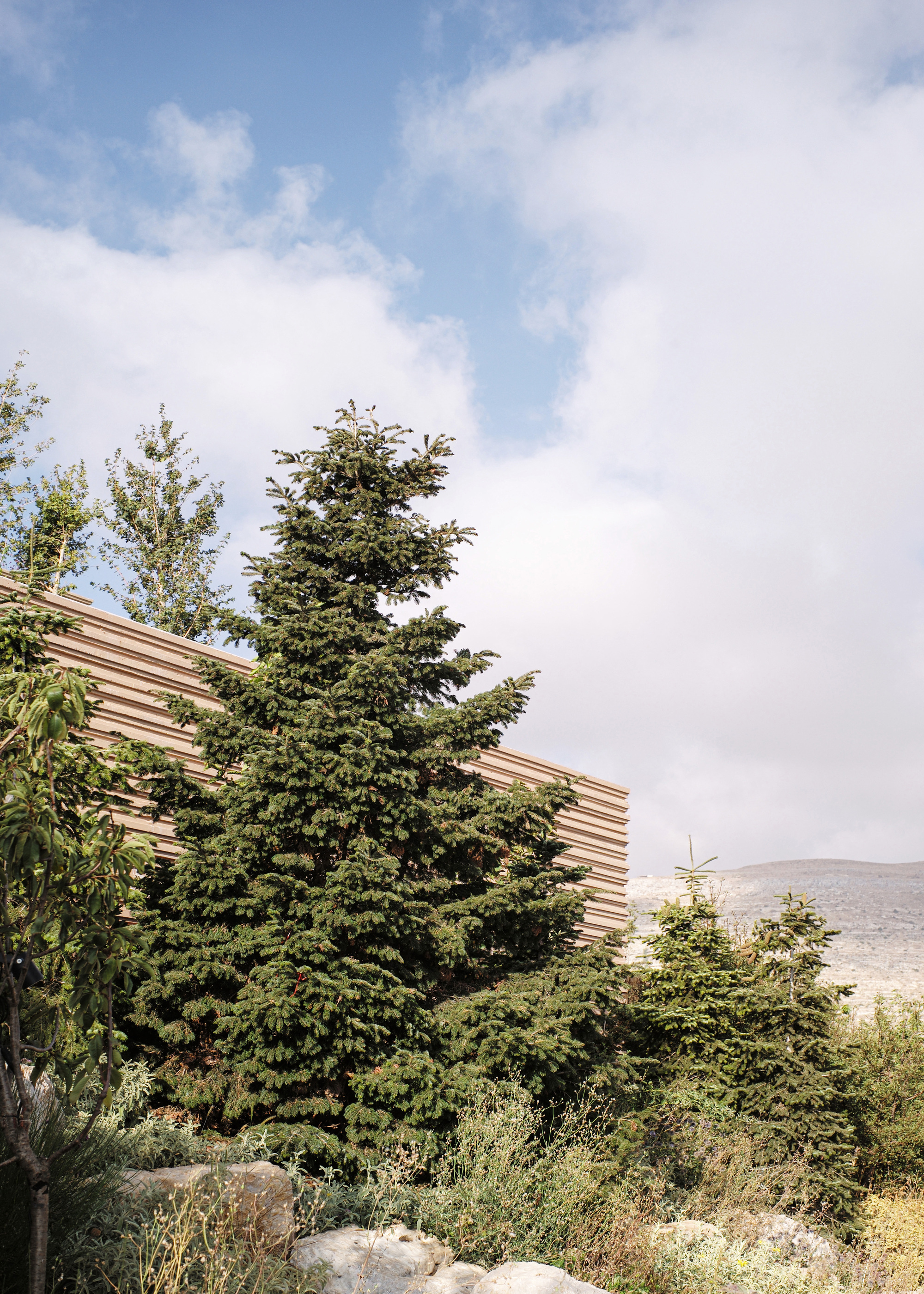 A 别墅丨黎巴嫩-61