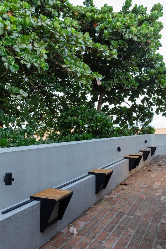 丨巴西伯南布哥-219