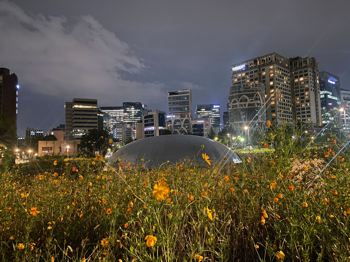 首尔历史宫殿旁的时空穿梭·"Trees & Traces"装置艺术丨韩国首尔-17