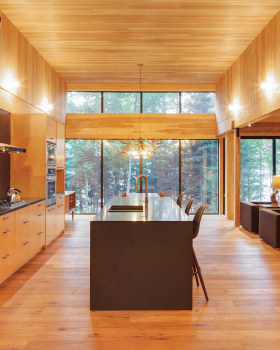 MAFC.005.1, Castor, Mafco House (2016)
