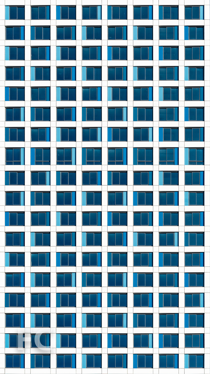 Journal Squared — FIELD CONDITION-2