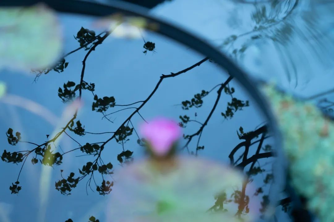 上海浦发仁恒·有园丨中国上海丨上海澜道环境设计咨询有限公司-83