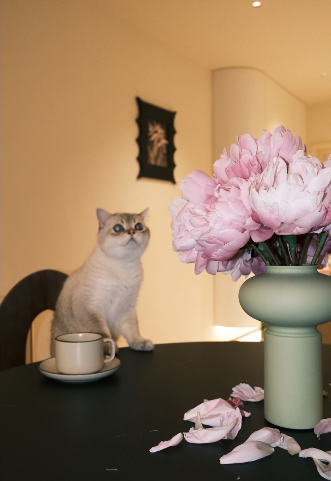 一处自在地,平层-30