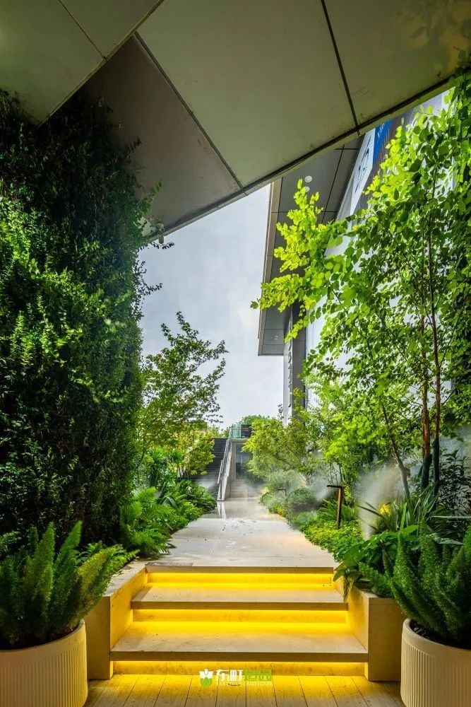 町室丨中国上海丨朱伟国（Mark.Zhu）-64