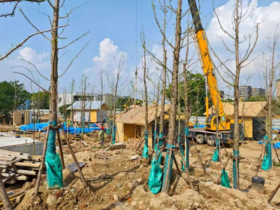 装配式木结构建筑-浙江古城文化旅游建设项目一期进行中......-20