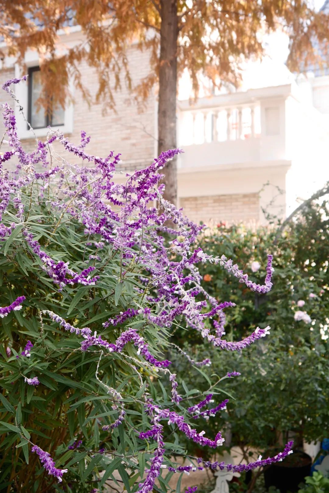 一米花园丨中国上海丨专业设计团队-34