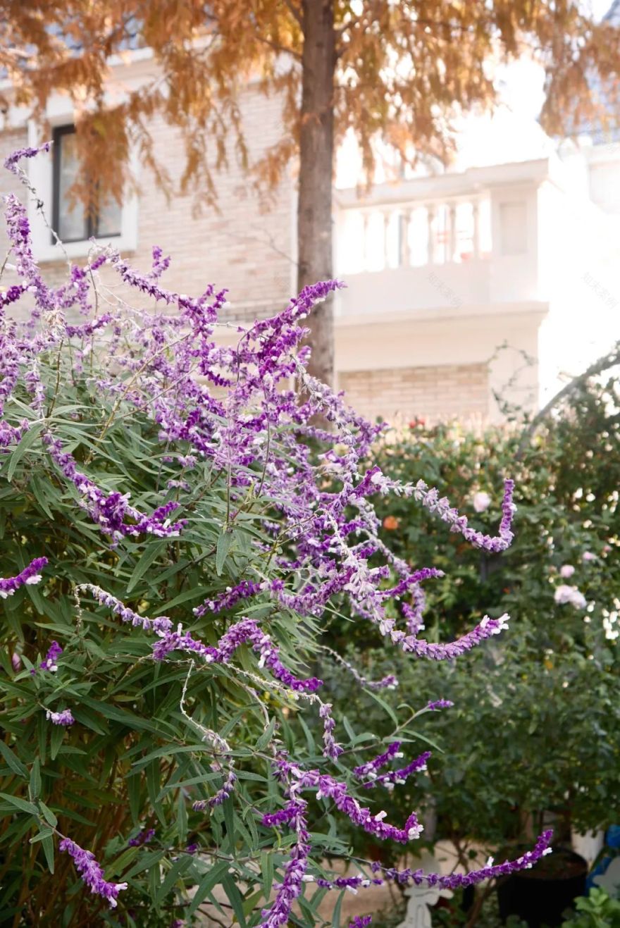 一米花园丨中国上海丨专业设计团队-34