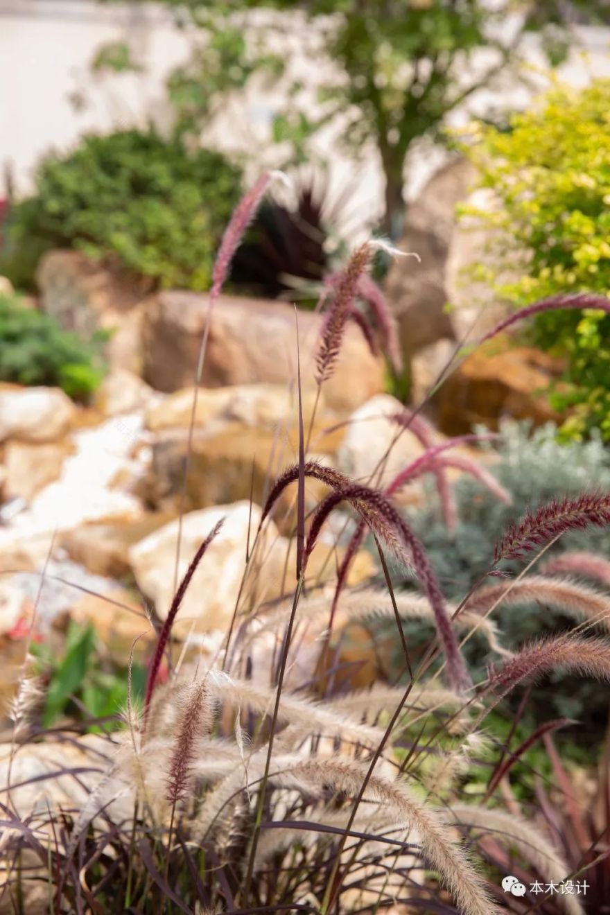 雍景湾 S1 栋样板花园 | 打造自然、舒适、多功能的生活空间-83