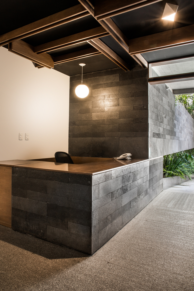 墨西哥城市中心绿意盎然的高级公寓楼-21