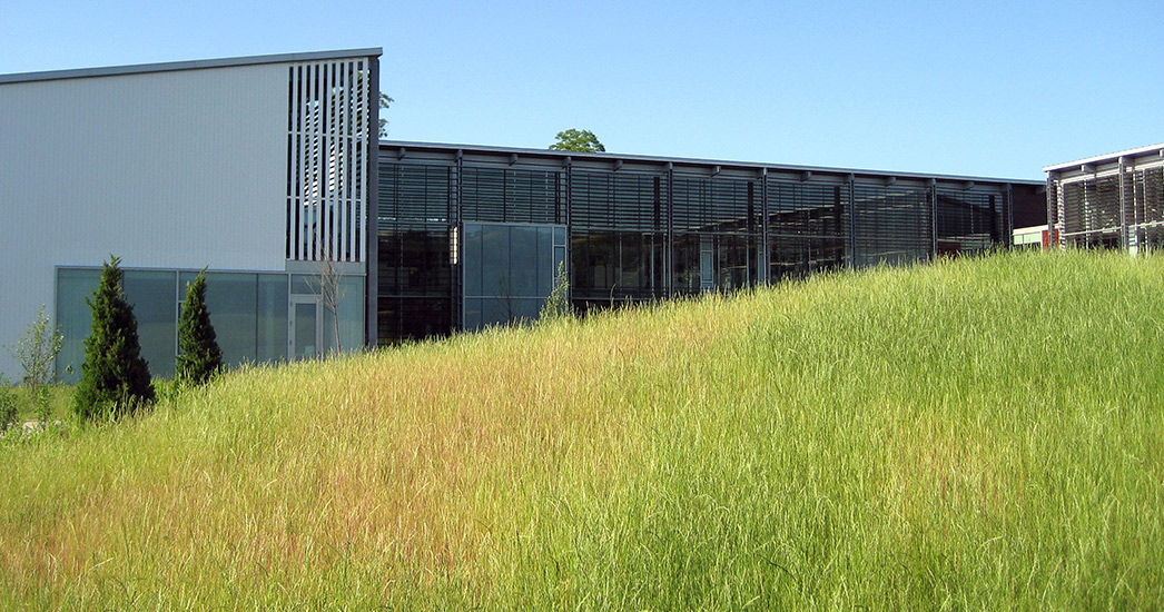 国际野生动物保护区基金会景观恢复项目丨IFAW-4