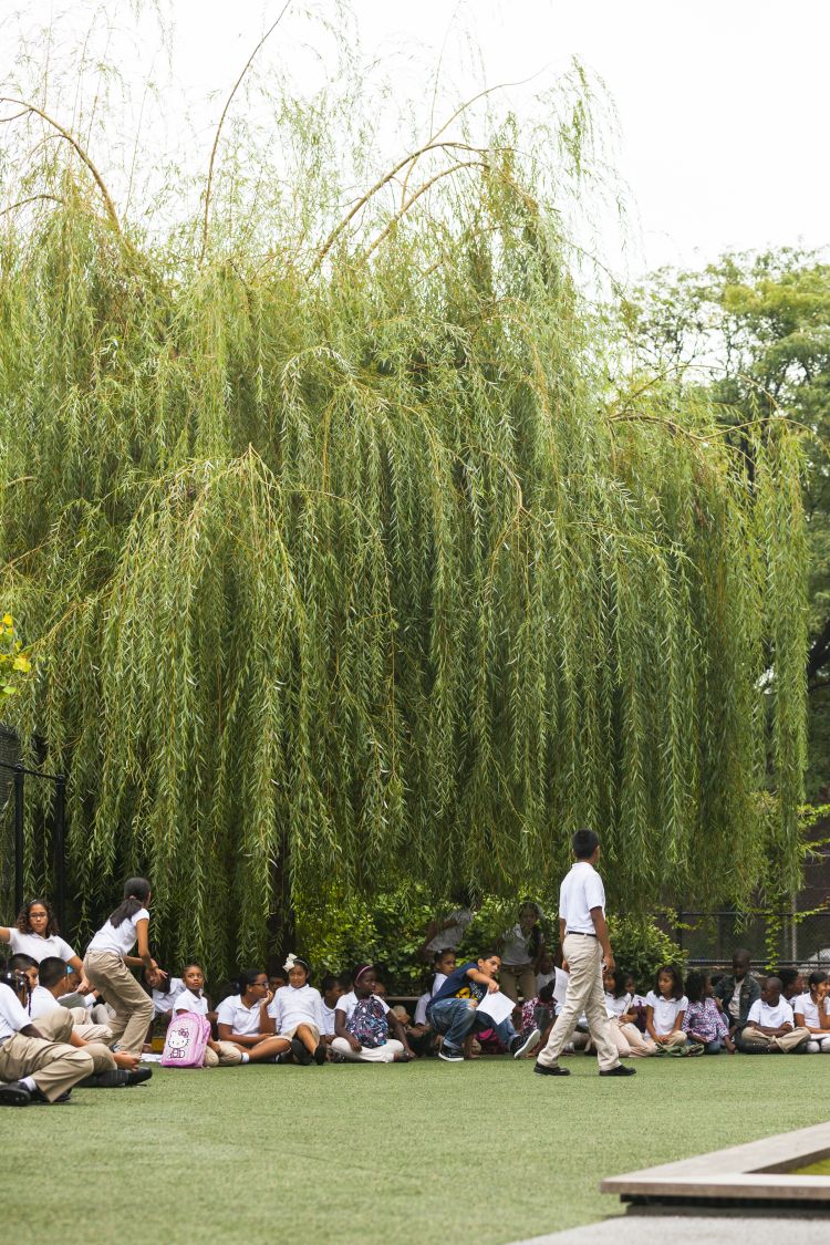 东哈莱姆学校创新庭院设计丨美国纽约丨纳尔逊·伯德·沃尔兹-2