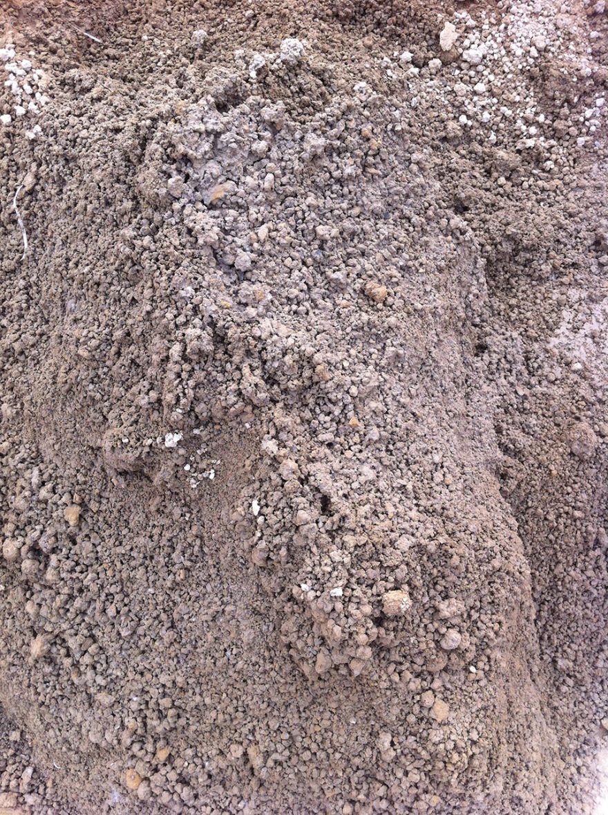 林建筑-与自然树木的共舞 / 迹·建筑事务所(华黎)-149