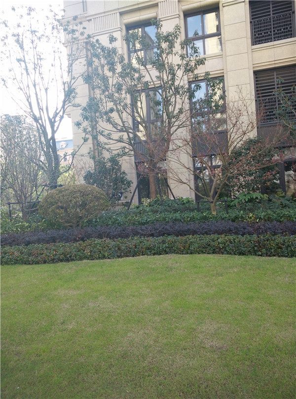 魔都 80 后小夫妻的清新简约新家-22