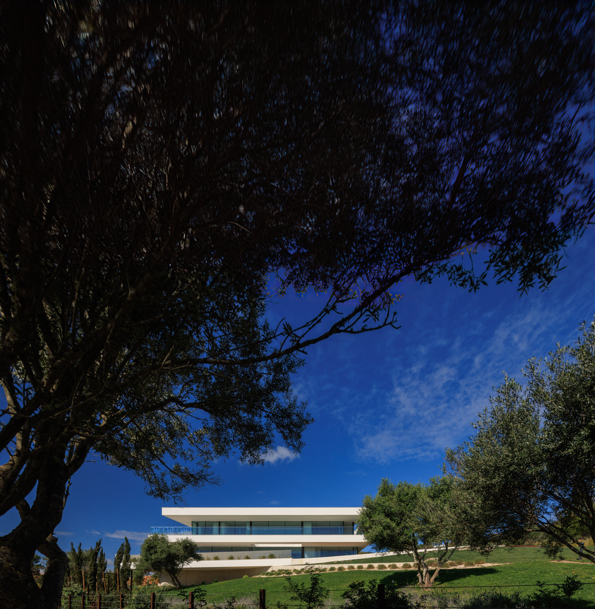 丨葡萄牙丨Mário Martins Atelier-10