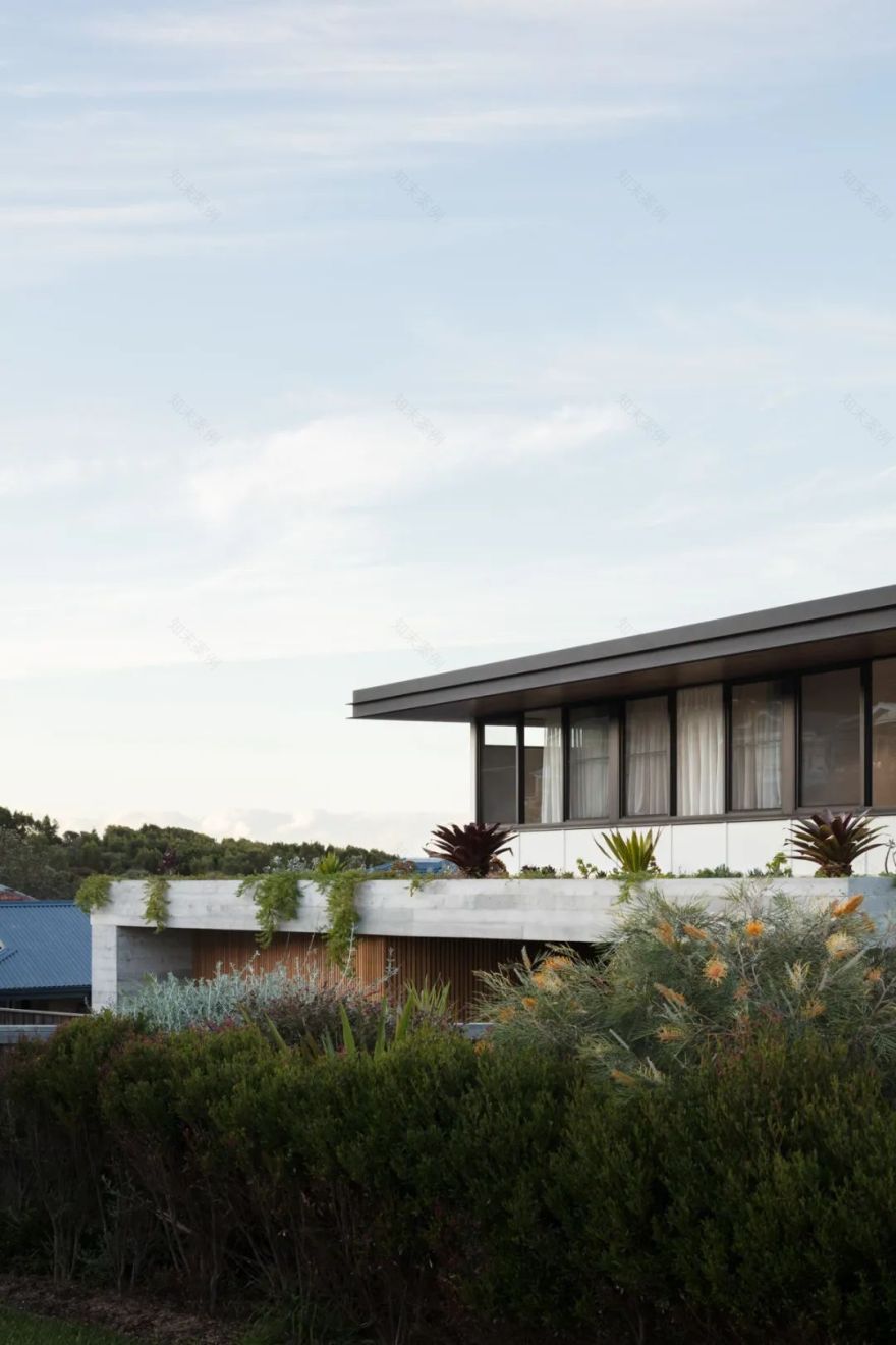 Mona Vale 岬角滨海别墅丨IAN BENNETT 工作室-11