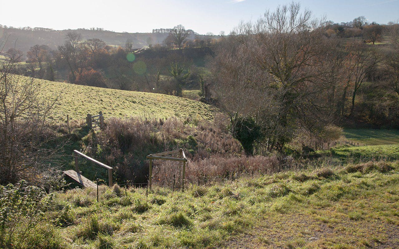 The Bridges相关花园景观项目-6