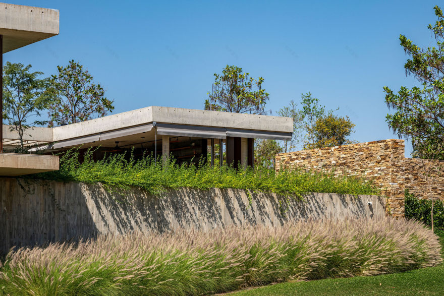 摇摆屋丨巴西丨lb+mr-31