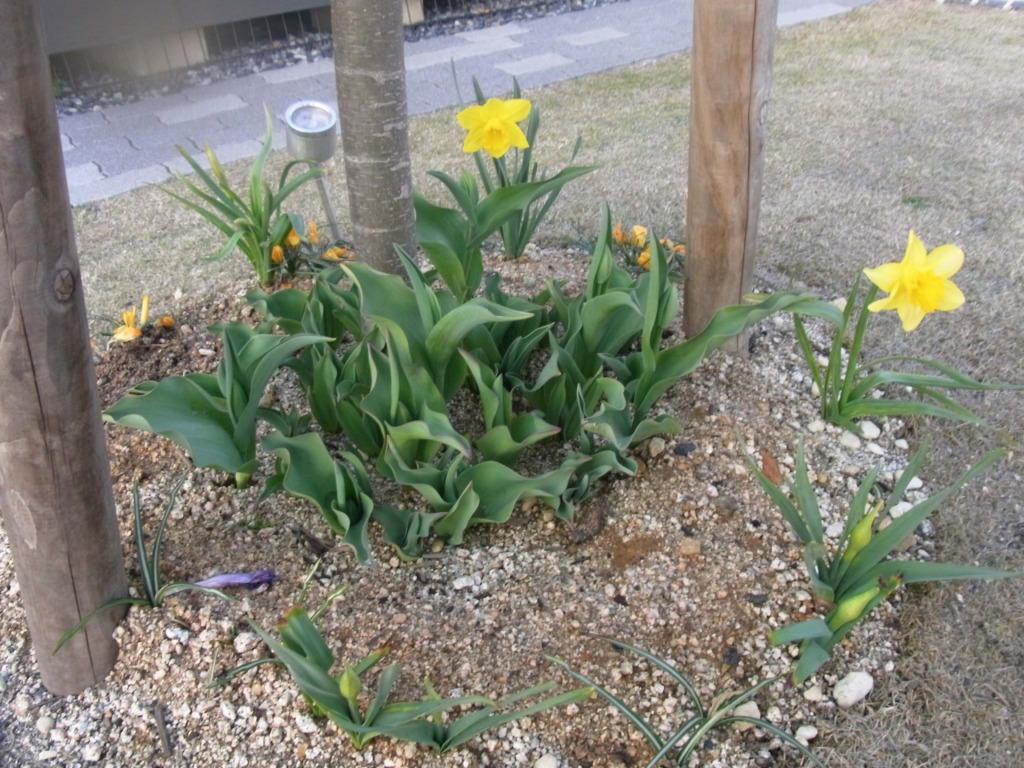 平屋建て和風モダン住宅の新築外構-58