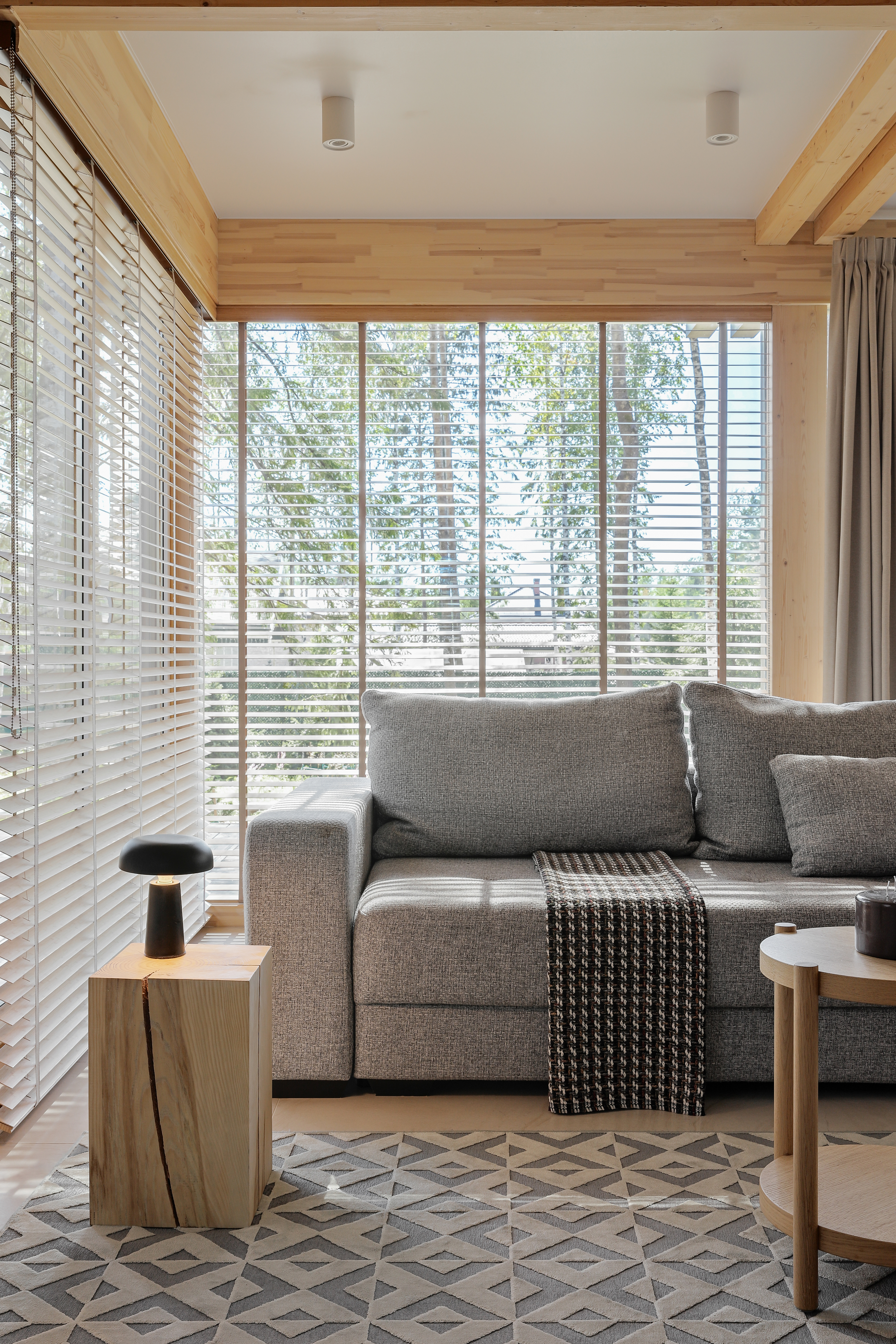 房子丨俄罗斯圣彼得堡丨DVA-11