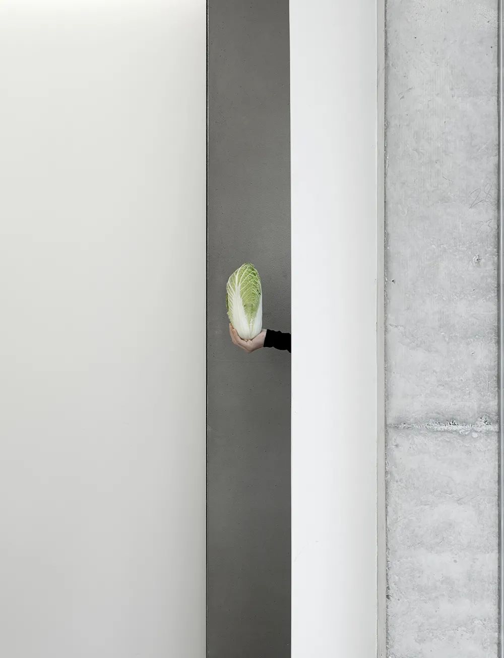 白菜设计工作室丨中国和平-9