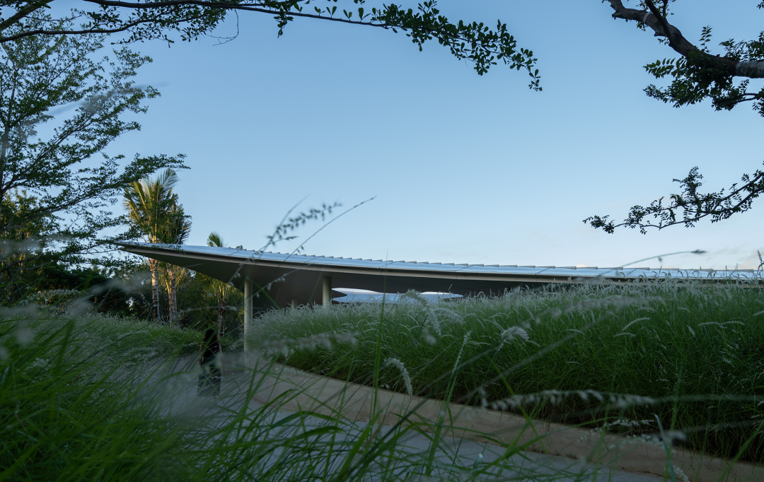 海棠河生态公园海棠晓翼丨中国三亚丨水相设计-16