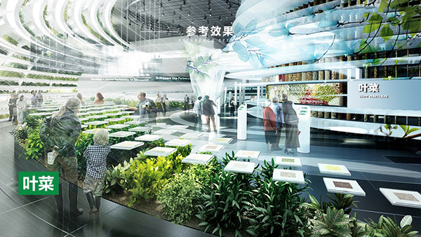 现代农业基地-品牌/策划2019-33