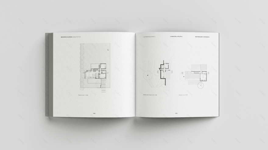 具体自然丨阿根廷-32