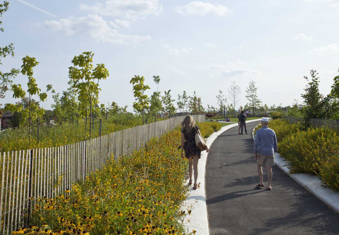 总督岛公园和公共空间总体规划丨美国纽约丨MNLA-20