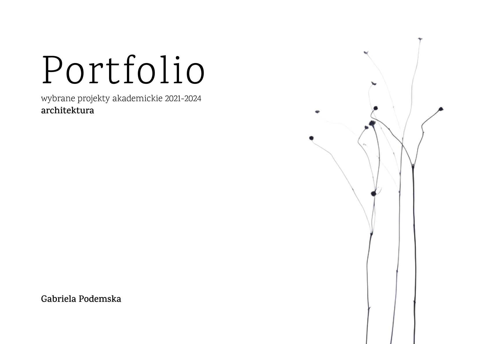 Portfolio - wybrane projekty akademickie-0