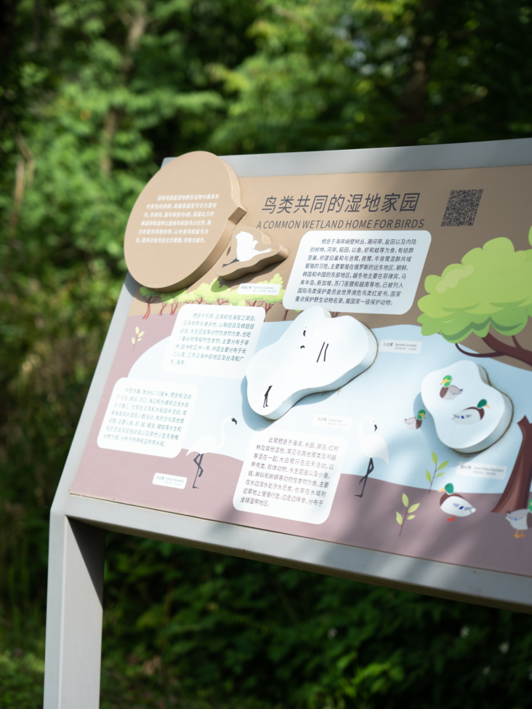 白鹭湾湿地公园自然探索基地丨中国成都丨上海柏熙标识有限公司-15