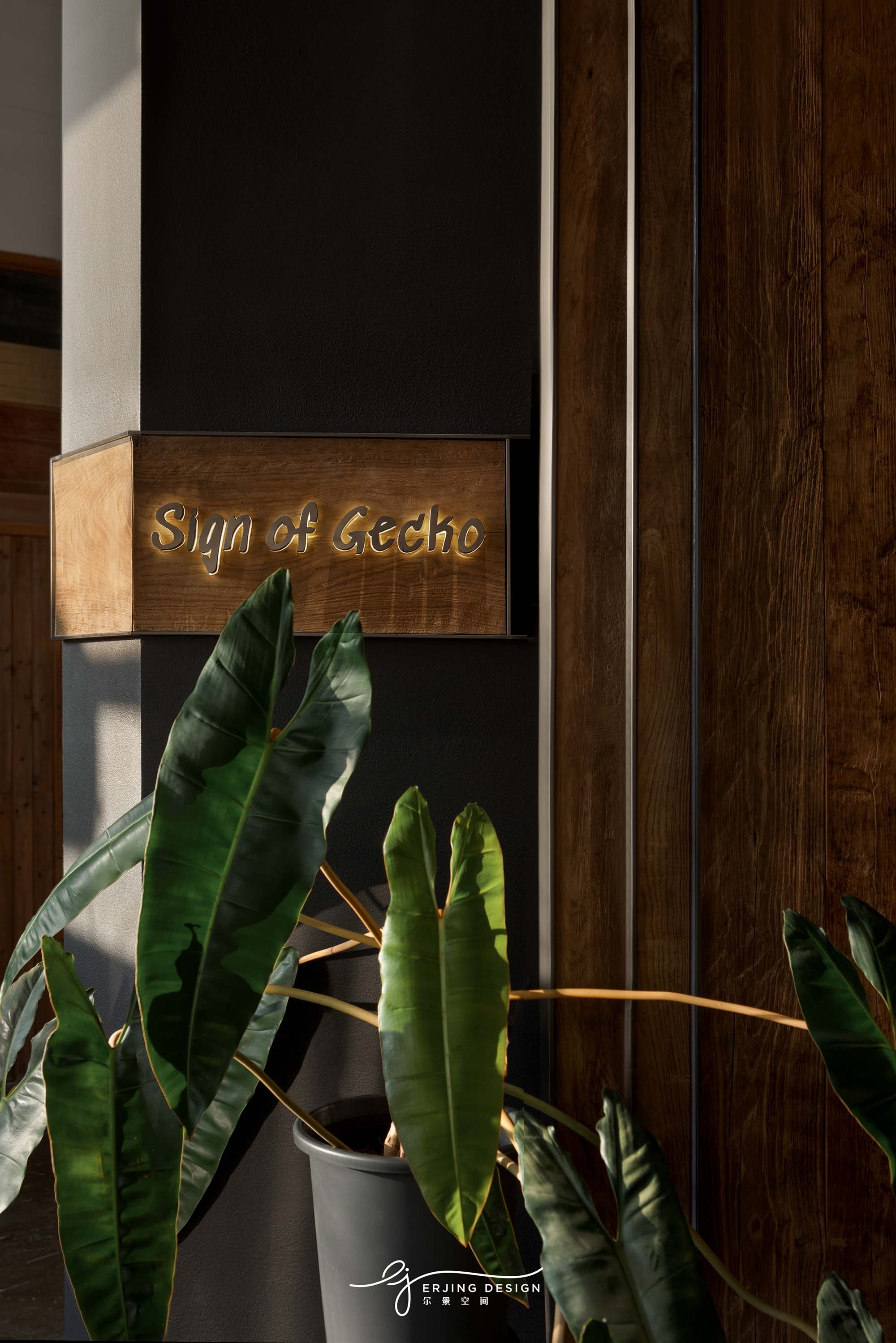 爬宠店·Sign Of Gecko丨中国杭州丨尔景空间设计-13