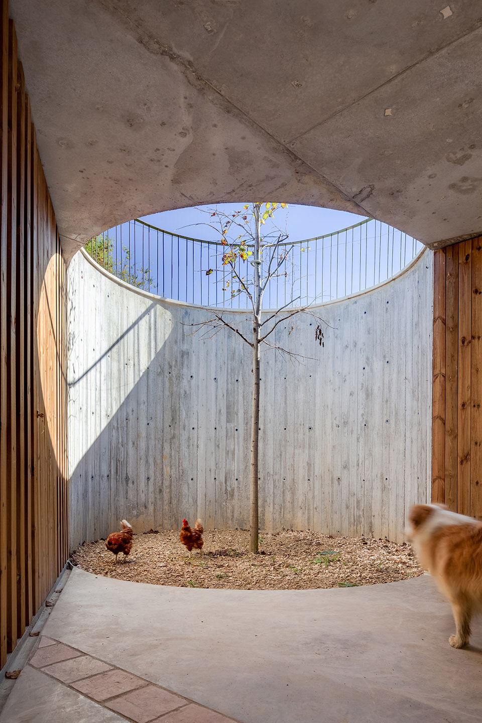 屋顶花园－西班牙农场改造 / Arnau Estudi d’Arquitectura-8