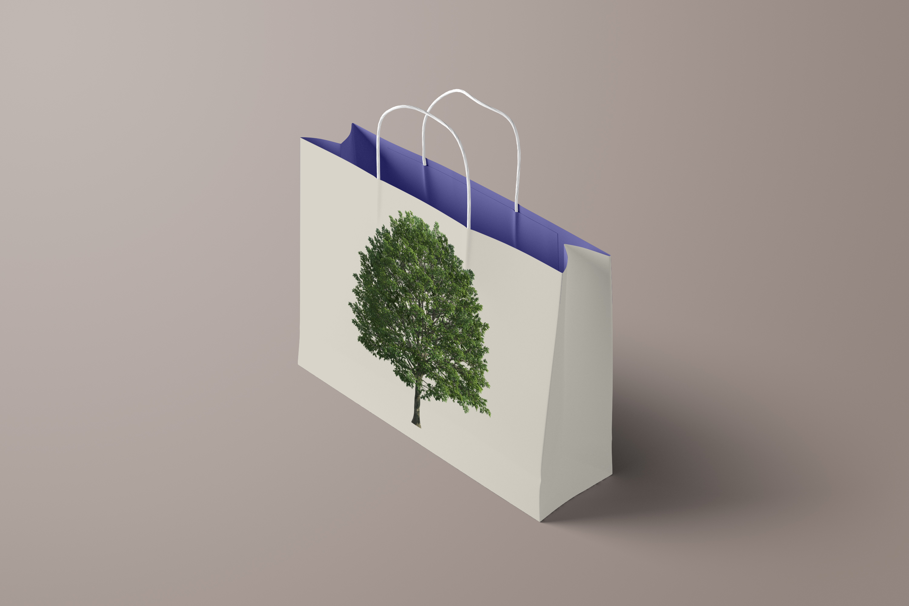 Real Tree Cliparts png, Realistic London Plane tree-9