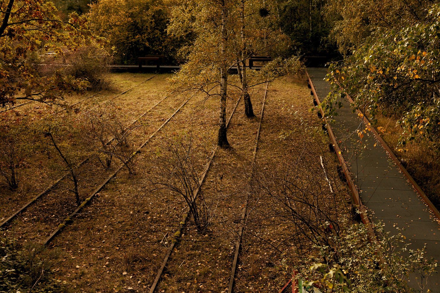 柏林南场地自然公园丨德国柏林-7