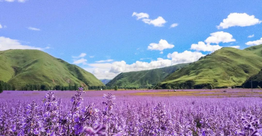 完美一夏 | 康定摄影之旅的室内设计灵感-68
